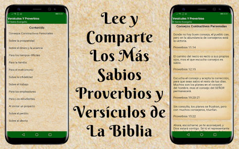 Screenshot 7 El Evangelio de Hoy Católico android