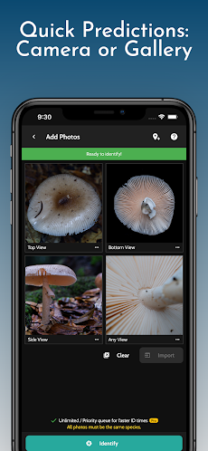 ShroomID - Identify Mushrooms!のおすすめ画像3