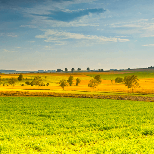 Summer Nature Wallpapers 2023 logo