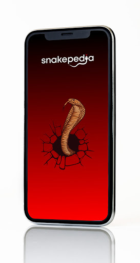 Android application Snakepedia screenshort