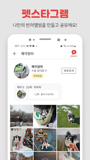 펫시터 방문탁묘 산책 캣시터 애견호텔 애묘호텔 펫보험.