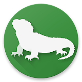 Reptiles of New Zealand icon