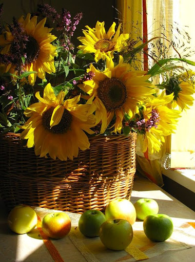 Sunflowers and still lifes Screen 3