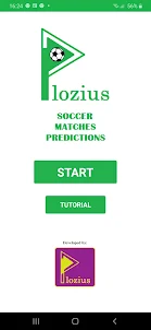 P. Soccer Matches Predictions