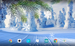 screenshot of Winter Wallpaper