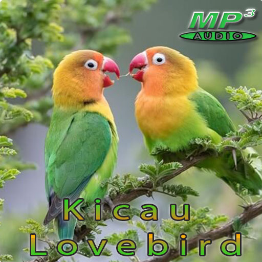 Kicau Love Bird Offline Download on Windows
