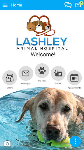 Lashley Animal Hospital Screenshot