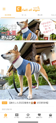 犬猫の服 フルオブビガー Screen 2