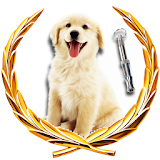 Dog Whistle & Dog Training PRO icon