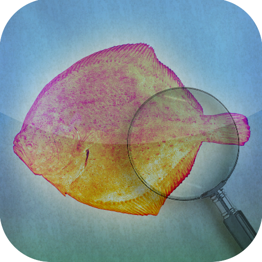 Fishbook logo