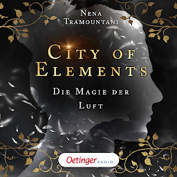Icon image City of Elements 3. Die Magie der Luft (City of Elements)