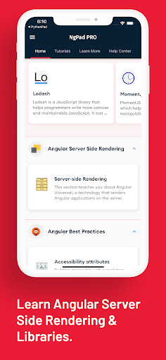 Screenshot of Learn Angular: AngularDev PRO