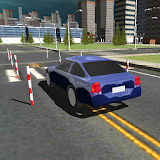 Dynamic Driving Test 3D icon