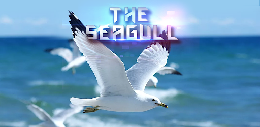 The Seagull