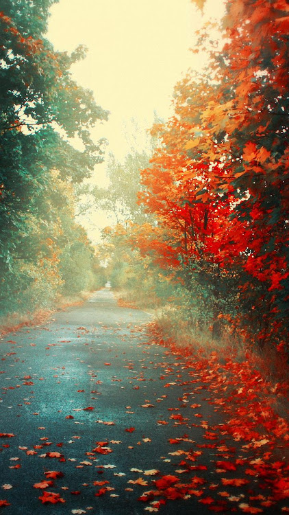 Autumn Live Wallpaper - 2.15 - (Android)