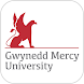 Gwynedd Mercy Experience