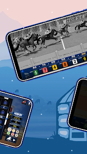 Horse Racing Bet Emulator