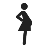 My Pregnancy Widget icon