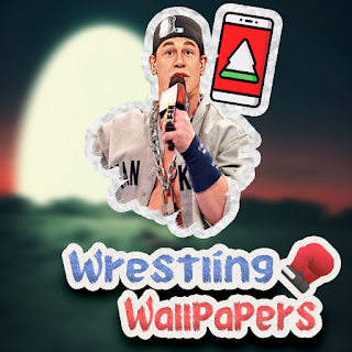 Wrestling Fighting Wallpapers apk