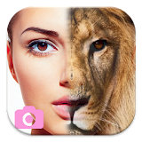 Animal Face - Face Morphing icon