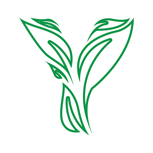 Yardy Team logo