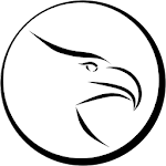 Cover Image of Download Eagle Flagger 1.019 APK