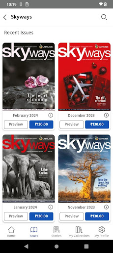Skyways Screen 2