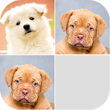 Puppy Photo Memory Game icon