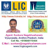 Insurance Agent LIC & National icon