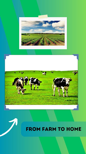 Surat Basket Grocery Store