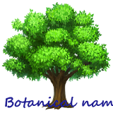Botanical Names icon