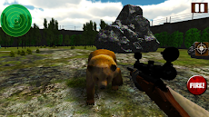 Jungle Bear Shooting Gameのおすすめ画像2