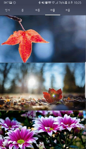 Four seasons wallpapers FHD Screen 3