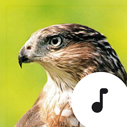 Icon image Hawk Sounds