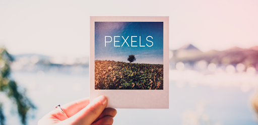 Pexels: What It Is, What It Does, And What Users Think About It In 2022