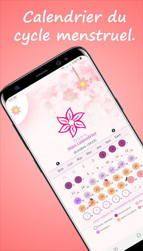 Aperçu de l'application