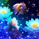 fish and water wallpaper icon