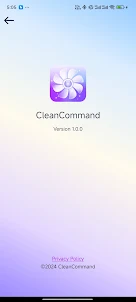 Clean Command