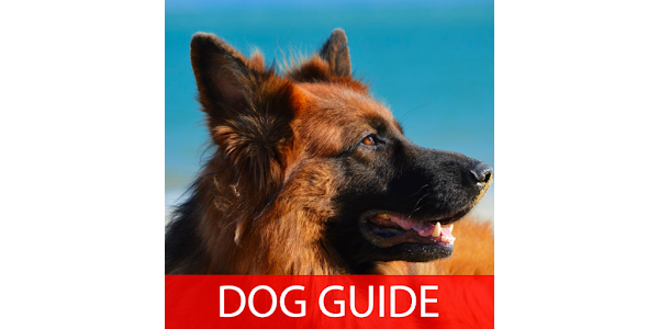 German Shepherd 101 Apps on Google Play