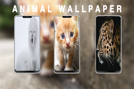 Wallpapers 4K Image +99999 ANI 1.1 APK + Mod (Free purchase) for Android