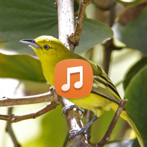 Sirtu Birds Souds logo