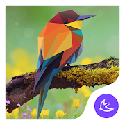 Free Colorful Lovely Bird theme for Android