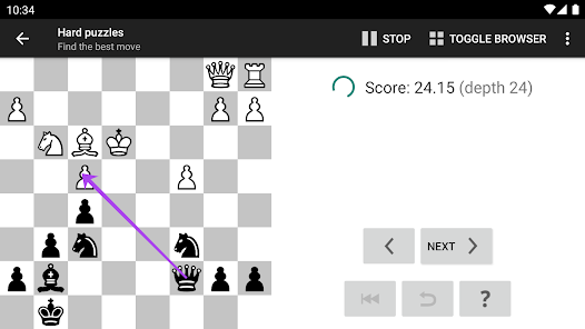 Chess Basic Tactics