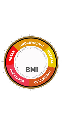 Android application BMI Calculator screenshort