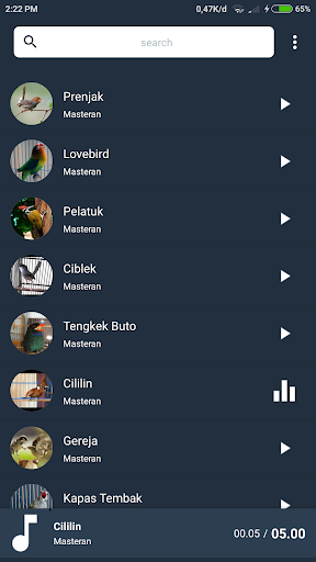 Masteran Burung Lengkap