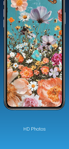 HD/4K flower background Screen 2