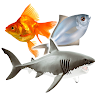 أنواع الأسماك و صور أسماك icon
