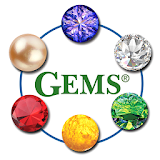 Dementia Stages Ability Model- Teepa Snow’s GEMS icon