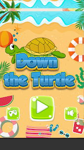 Down the Turtlee