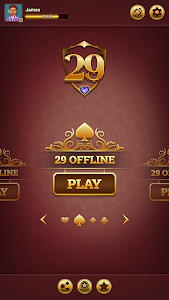 29 Royal Pro Card Game Offline Unknown
